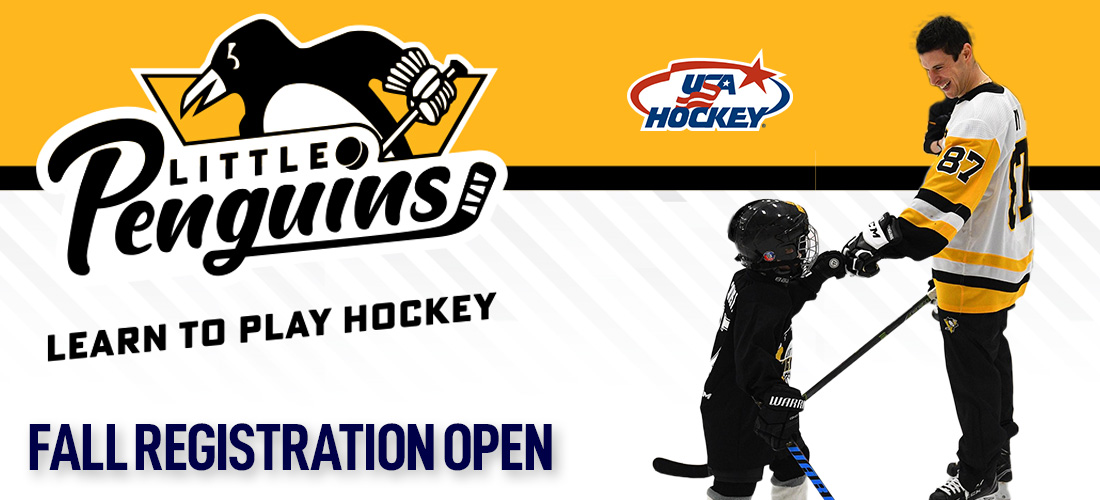 Little Pens Learn to Play Fall Signup