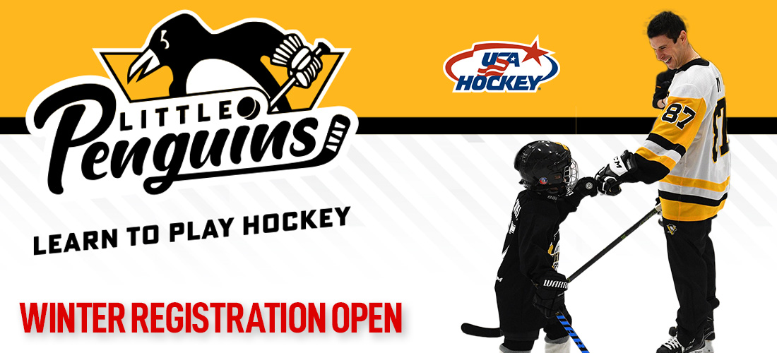 Learn to Play Hockey